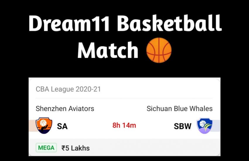 SA Vs SBW Dream11 Team Prediction