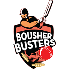 Bousher Busters Player Stats